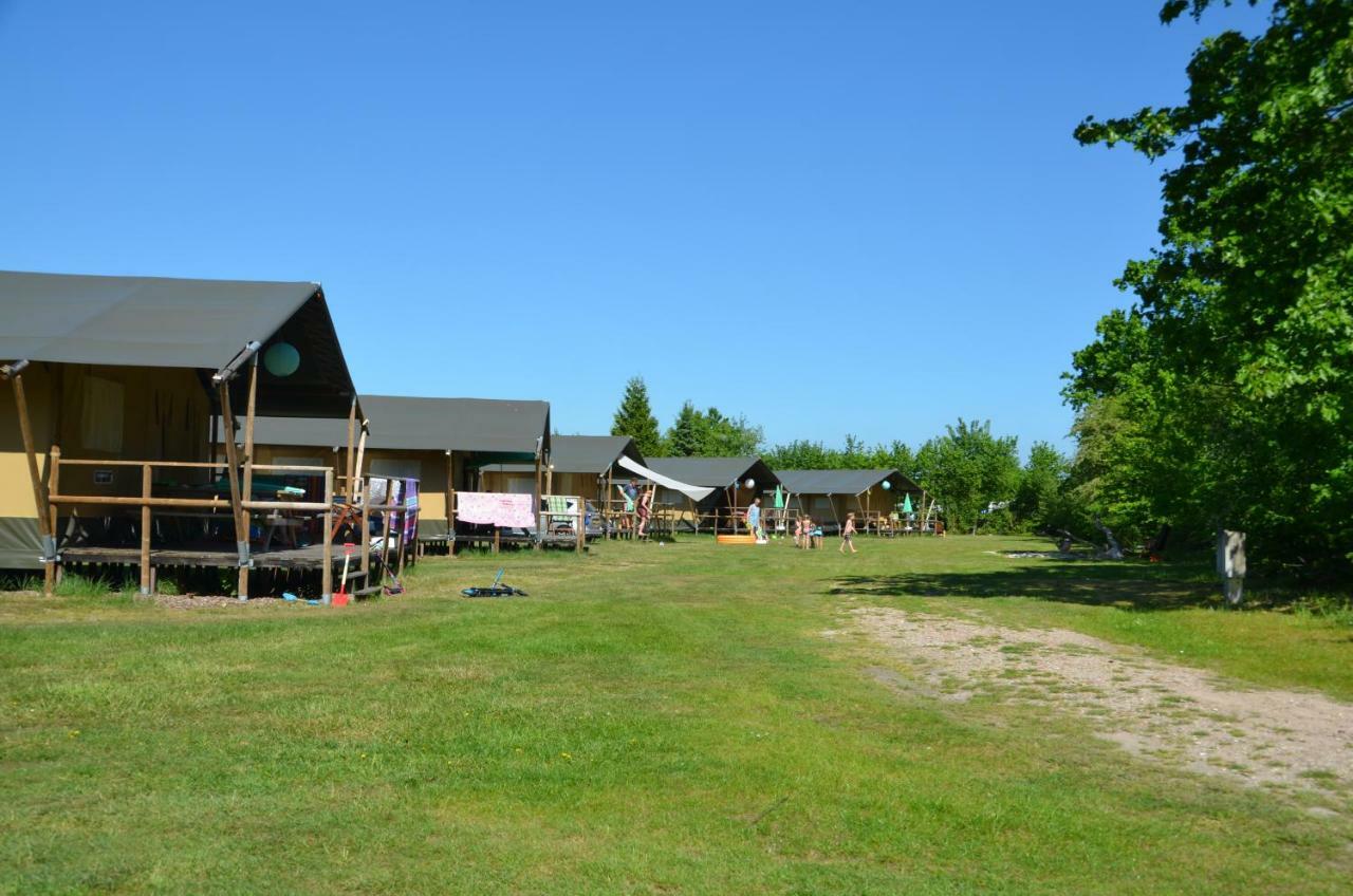 Siblu De Lente Van Drenthe Gasselte エクステリア 写真